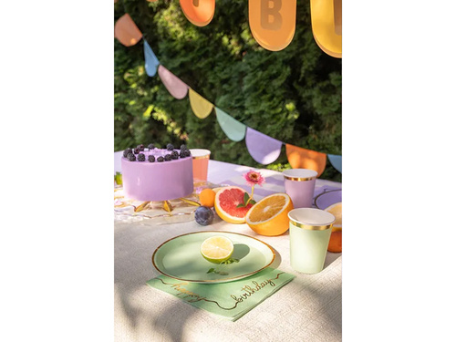 Serwetki urodzinowe Happy Birthday Pastelowe - 33 cm - 12 szt.