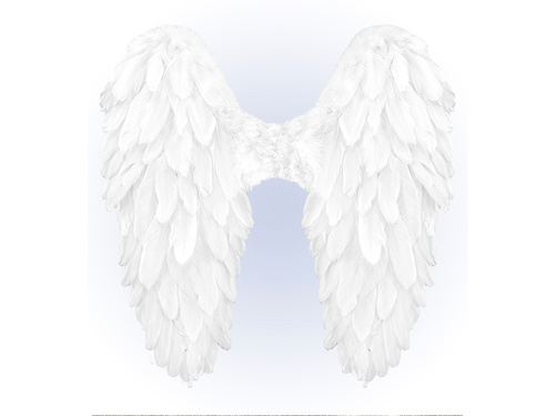 Skrzydła anioła białe - 50 x 50 cm - 1 szt.