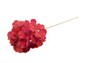 Sztuczna hortensja czerwona - 60 cm - 1 szt.