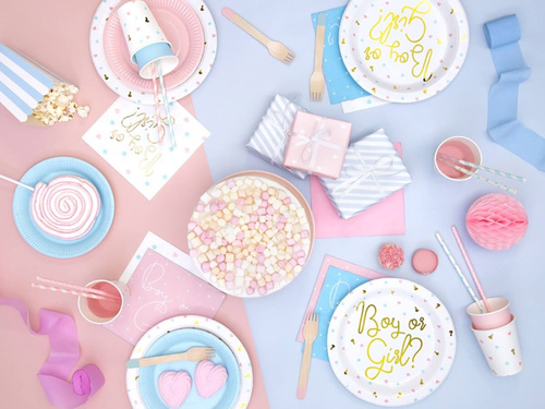 Talerzyki papierowe na Baby Shower Boy or Girl - 23 cm - 6 szt.