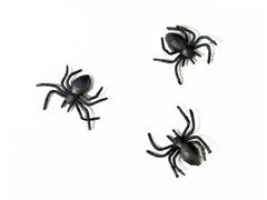 Pająki plastikowe czarne na Halloween - 10 szt.