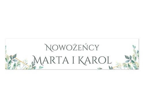 Tablica rejestracyjna personalizowana - 52 x 12 cm - 2 szt.
