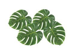 Dekoracja Liście Palmowe - 4 szt.