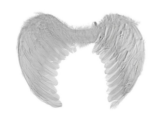 Skrzydła anioła białe - 45x35 cm