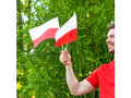 Polska flaga narodowa na patyku - 14 x 21 cm  - 10 szt.