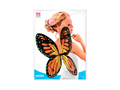 Czarno–pomarańczowo–żółte skrzydła motyla dla dzieci 66×38 cm