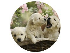 Dekoracyjny opłatek tortowy Pieski - 20 cm