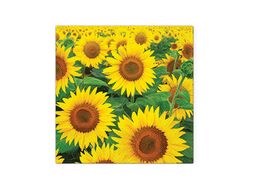 Serwetki Słoneczniki - 33 cm - 20 szt.