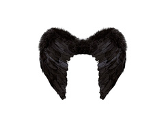 Czarne skrzydła z piór 50×40 cm