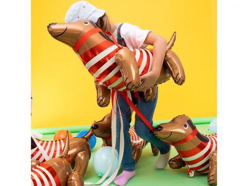 Balon foliowy Jamnik - 68 x 43 cm - 1 szt.