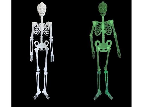Fluorescencyjny szkielet - 150 cm