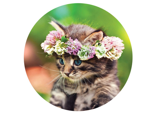 Dekoracyjny opłatek tortowy Kotek - 20 cm