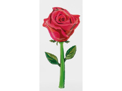 Balon foliowy Róża Czerwona - 166 cm - 1 szt.