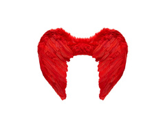 Czerwone skrzydła z piór 50×40 cm