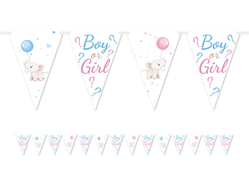 Baner flagi na Gender Reveal Girl or Boy? - 5 m - 1 szt.
