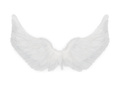 Zestaw skrzydła anioła białe 62 x 38 cm oraz Aureolka