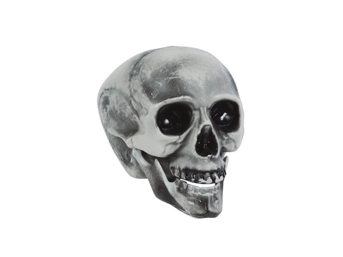 Czaszka na Halloween - 20 cm - 1 szt.