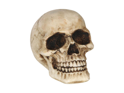 Czaszka na Halloween - 1 szt.