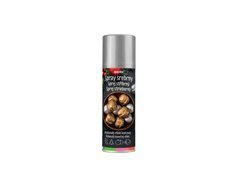 Farba dekoracyjna w sprayu - srebrna - 125 ml