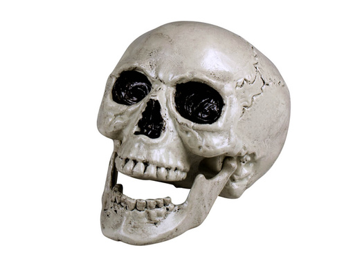 Czaszka na Halloween z ruchomą szczęką - 20 cm - 1 szt.