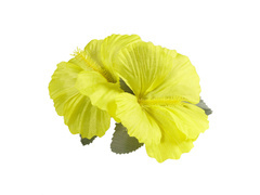 Hawajska przypinka kwiatek żółty - 1 szt.