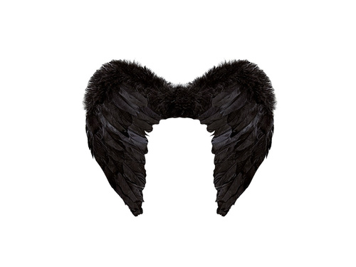 Czarne skrzydła z piór 50×40 cm