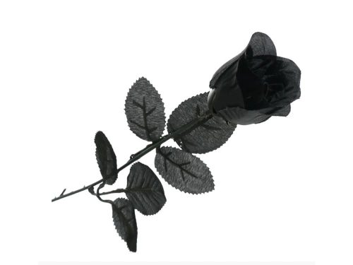 Czarna róża - 42 cm - 1 szt.