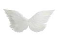 Skrzydła anioła białe -  70 x 40 cm - 1 szt.