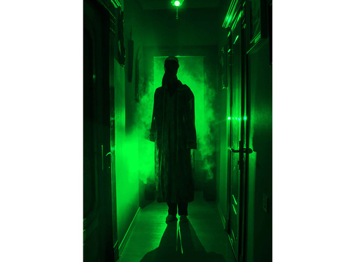 Zielona żarówka LED - 1 szt.