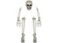 Zestaw dekoracji Zakopany Szkielet na Halloween