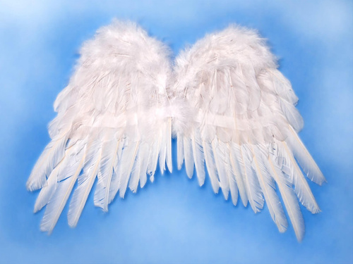 Skrzydła anioła białe - 50 x 35 cm - 1 szt.