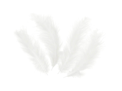 Piórka dekoracyjne białe długie - 50 szt.
