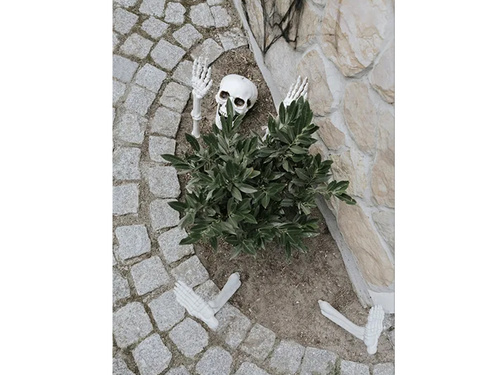 Zestaw dekoracji Zakopany Szkielet na Halloween