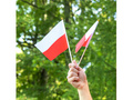 Polska flaga narodowa na patyku - 14 x 21 cm  - 10 szt.