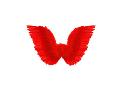 Czerwone skrzydła z piór 78×36 cm