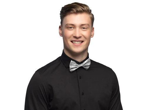 Mucha srebrna brokatowa - 1 szt.