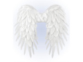 Skrzydła anioła białe - 50 x 50 cm - 1 szt.