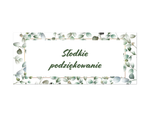 Pudełka na ciasto z eukaliptusem - 6 szt.