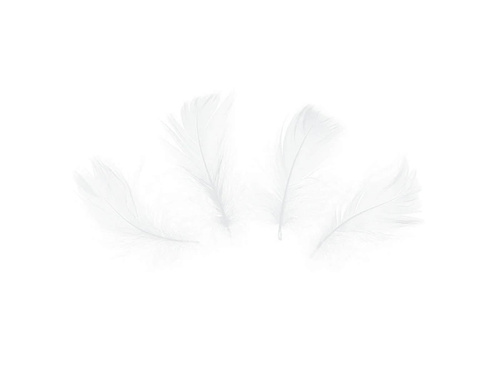 Piórka dekoracyjne białe krótkie - 50 szt.