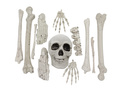 Worek kości - 12 elem.