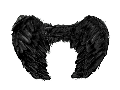 Skrzydła anioła czarne - 60 x 45 cm