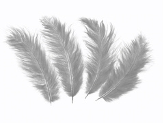 Piórka dekoracyjne szare długie - 50 szt.
