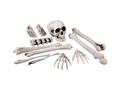 Zestaw kości z czaszką - 12 szt.