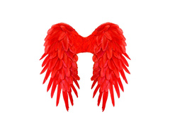 Czerwone składane skrzydła z piór 50×50 cm