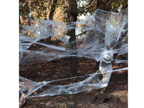 Pajęczyna z 25 pająkami - 500 g - 1 op.