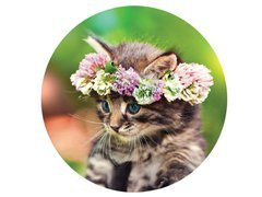 Dekoracyjny opłatek tortowy Kotek - 20 cm