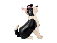 Balon foliowy stojący Pies Border Collie - 76x92 cm - 1 szt.