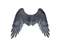 Skrzydła anioła popielate - 95 x 75 cm - 1 szt.