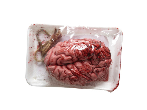 Sztuczny mózg na tacce - 1 szt.