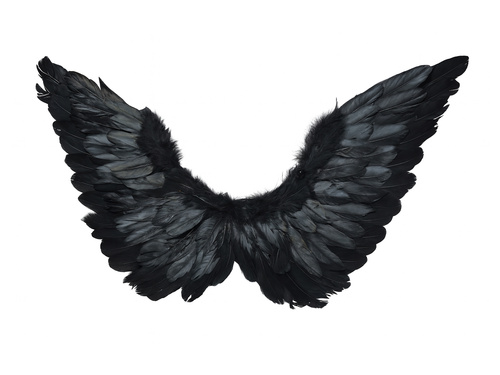 Skrzydła anioła czarne z aureolą - 72 x 40 cm - 1 szt.